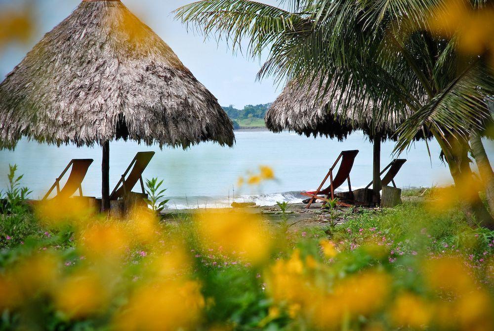 Iguana Lodge Beach Resort Puerto Jimenez Exterior photo