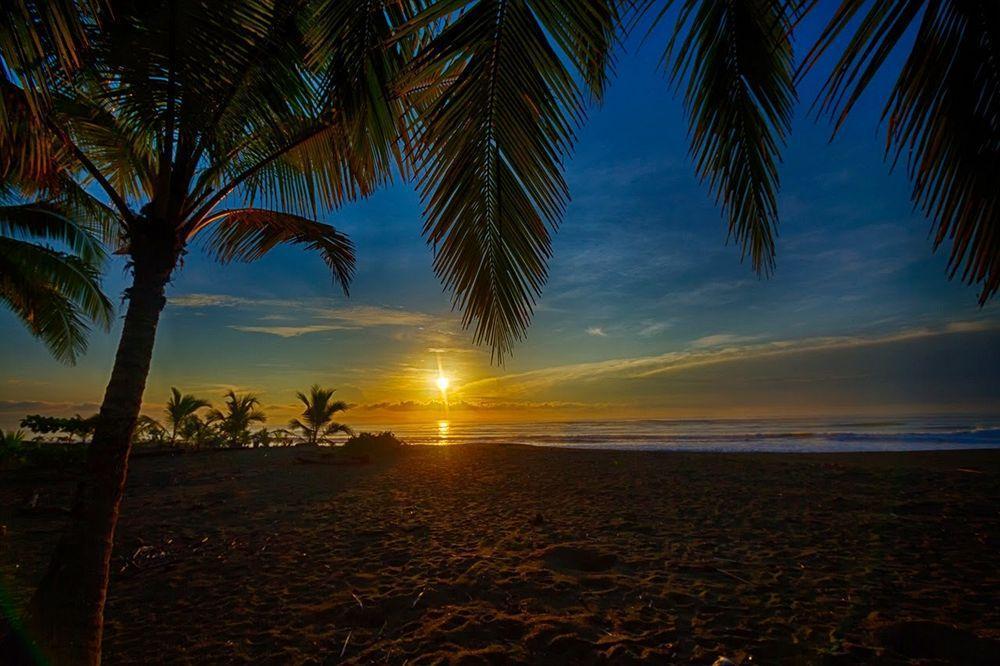 Iguana Lodge Beach Resort Puerto Jimenez Exterior photo