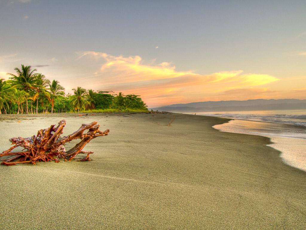 Iguana Lodge Beach Resort Puerto Jimenez Exterior photo